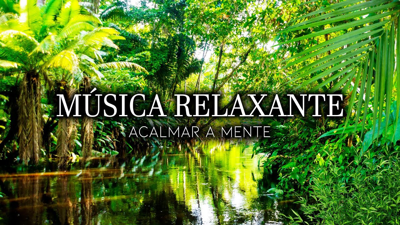 Música Relaxante Com Sons de Água e Floresta Tropical Para Acalmar - Sinta-se na Natureza