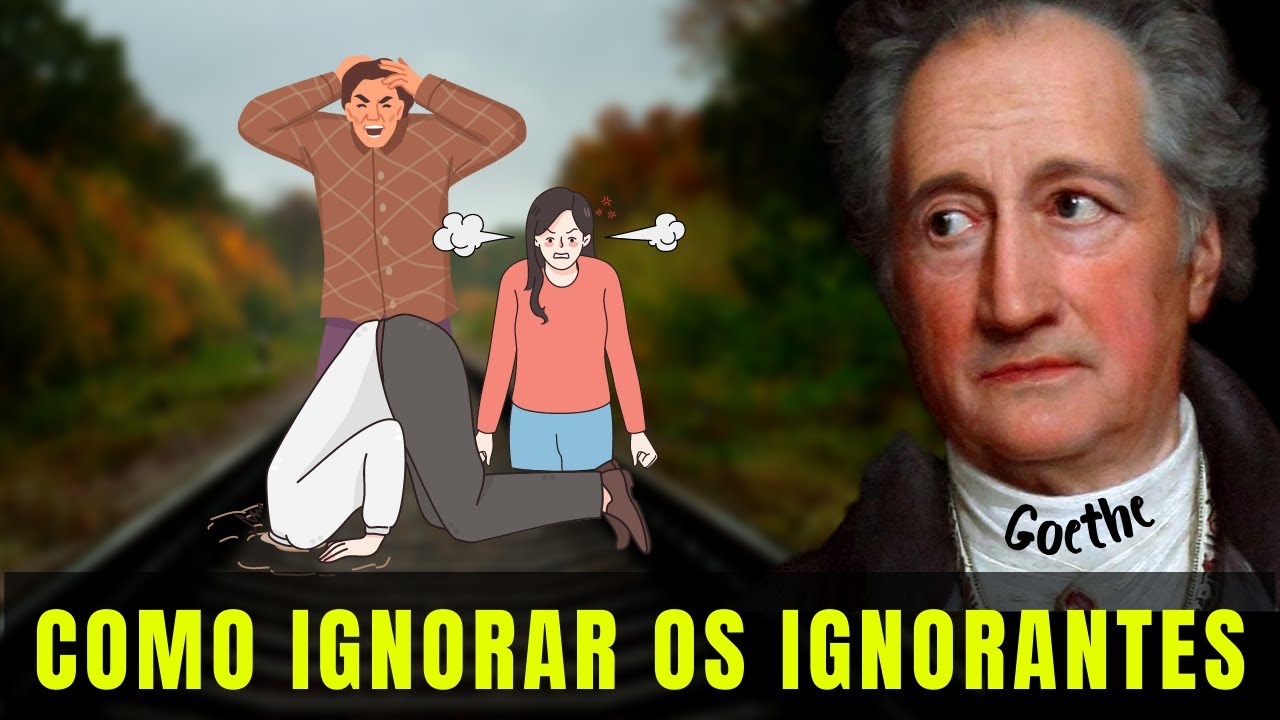 Não Perca Seu Tempo Com Ignorantes  | 7 Lições de Goethe